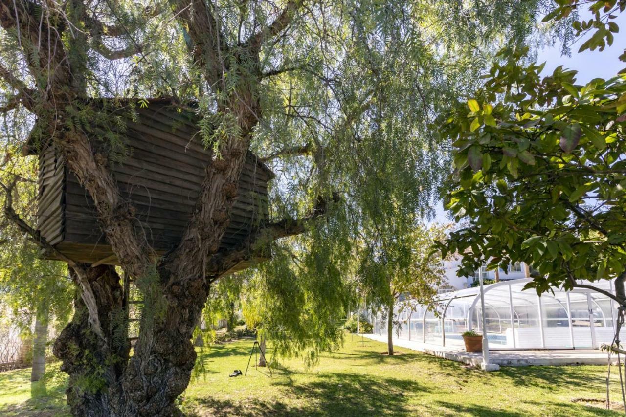 Villa Tocororo En Pinos De Alhaurin Alhaurin de la Torre Ngoại thất bức ảnh